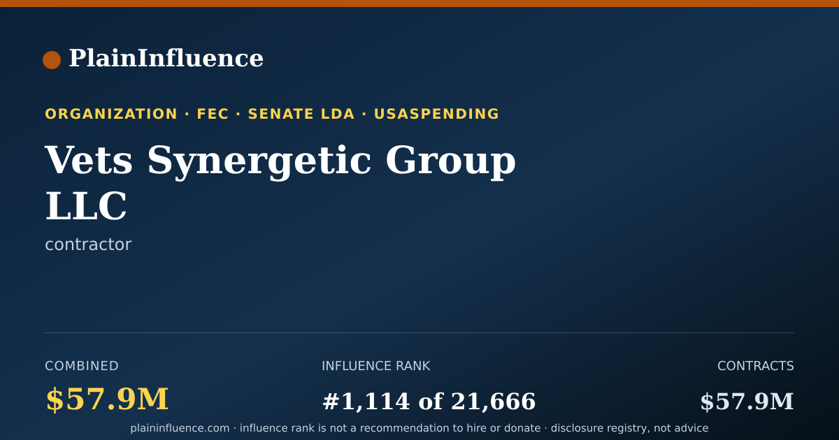 Shareable card for Vets Synergetic Group LLC